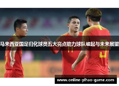 马来西亚国足归化球员五大亮点助力球队崛起与未来展望